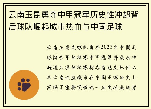 云南玉昆勇夺中甲冠军历史性冲超背后球队崛起城市热血与中国足球